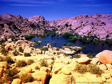 Random Pictures of Pretty Places