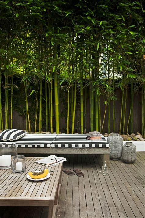57 Bamboo Fence Ideas For Small Houses ~