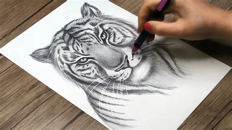 How To Draw A Realistic Tiger Head Tiger Face Drawing Step By Step