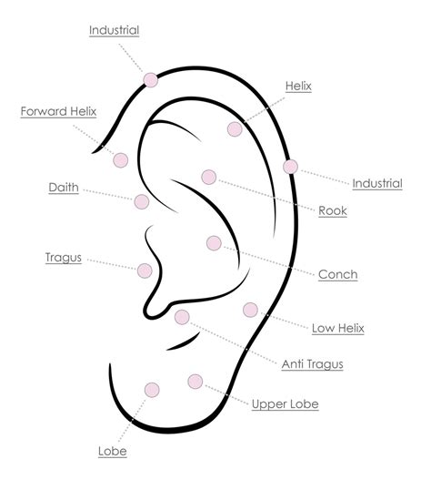 Ear Piercing Chart Poster Ubicaciondepersonascdmxgobmx