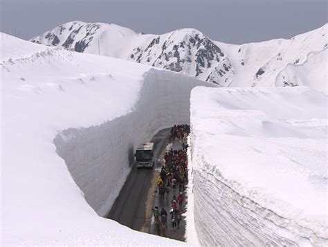 Amazing Toyama Snow Wall Along The Tateyama Kurobe Alpine Route Wow U