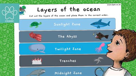 World Oceans Day Layers Of The Ocean Sorting Activity