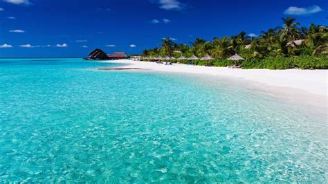 Top Beaches In The Caribbean Iyc