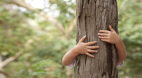 Be A Tree A Grounding Exercise For Children Wake Up World