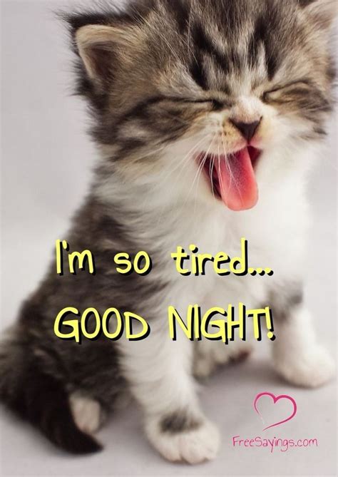 Good Night Meme Funny Good Night Quotes Good Night Prayer Good Night