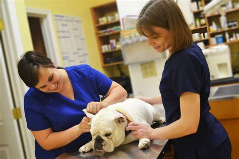 Oak tree animal hospital is located in northwest tampa fl. New Tampa Veterinarian Clinic - Affordable Pet Hospital