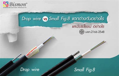 Drop wire VS Small fig.8 fiber optic แตกต่างกันอย่างไร และมีประโยชน์อย่างไร | Bismon
