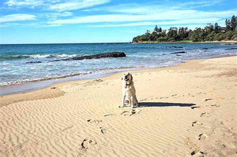 Escape Culburra Beach House Pet Friendly Accommodation Culburra