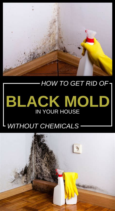 How To Get Rid Of Black Mold In Your House Without Chemicals
