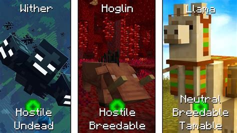 Minecraft Mobs And Their Categories Youtube