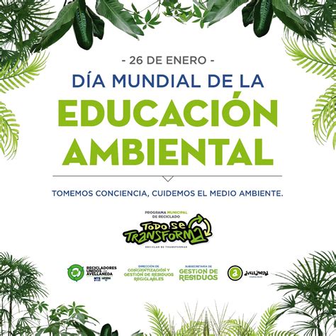 Hoy Se Celebra El Día Mundial De La Educación Ambiental Noticias