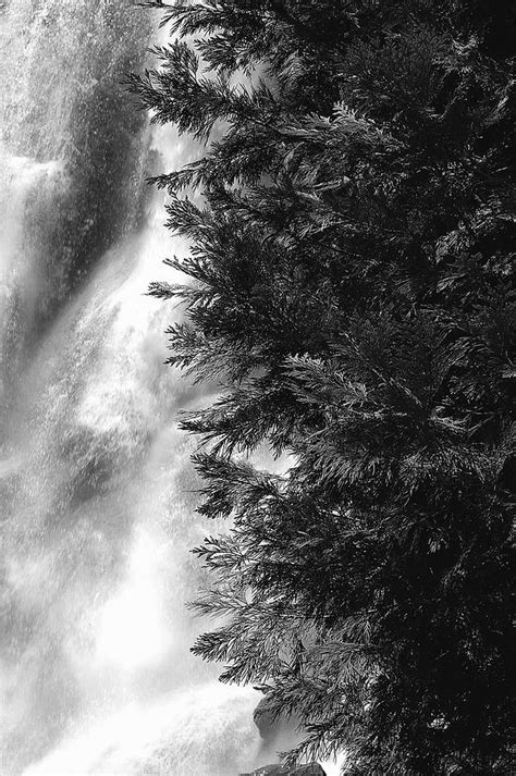 Grizzly Falls Photograph By Arthurpete Ellison Fine Art America