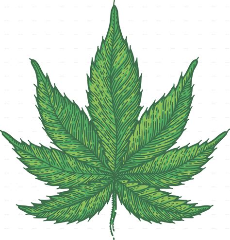 Weed Leaf Png Transparent Free Logo Image