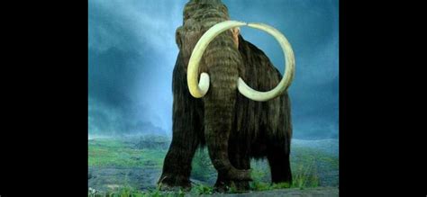 Russian Scientists To Attempt Clone Of Woolly Mammoth London Coin Galleries