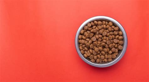 Get to know american journey. American Journey vs. Taste of the Wild: Which Dog Food is ...