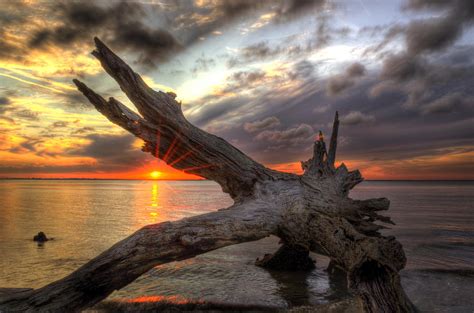 Driftwood Sunset Photograph By Greg And Chrystal Mimbs Fine Art America