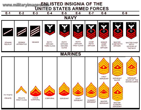 US Navy Enlisted Ranks MilitaryImages Net