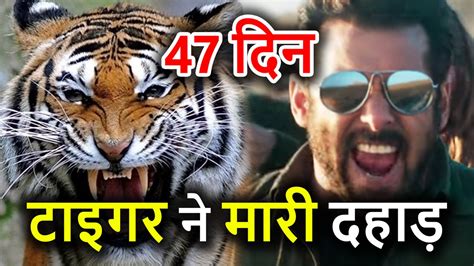 Salman Khan Film Tiger Zinda Hai Th Days