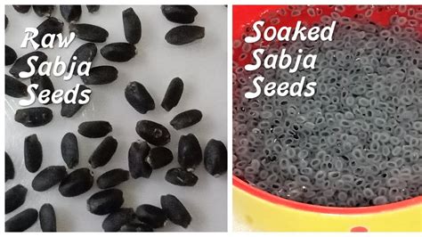 What Are Sabja Seeds Sweet Basil Seeds Tukmaria Seeds Health