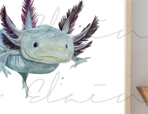 Axolotl Watercolor Painting Print Etsy