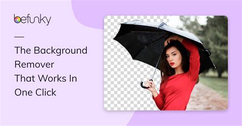 Automatic Background Remover Online Insert Your Own Background Best 5