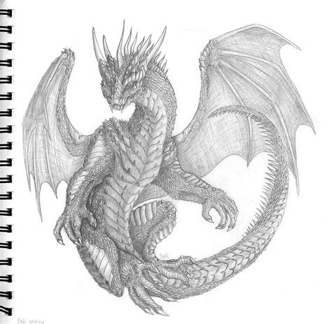 A Dragon By Bravebabysitter On Deviantart Dragon Drawing Dragon