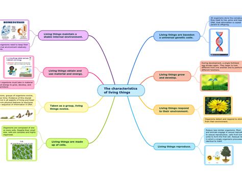 The Characteristics Of Living Things Mind Map