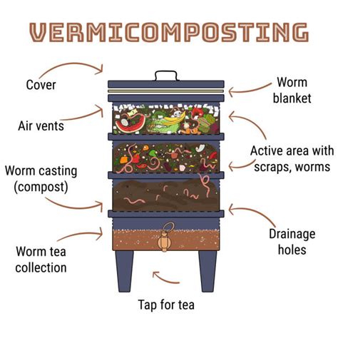 Vermicompost Illustrations Royalty Free Vector Graphics And Clip Art