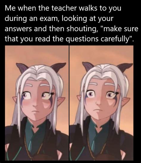 Pin By Sophia Rose On The Dragon Prince Funny Dragon Rayla Dragon Prince Dragon Princess