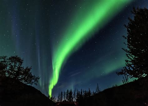 Aurora Borealis Northern Lights In Denali National Park Photograph By
