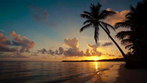 Sunrise Over Tropical Island Beach Palm Stock Footage Video 100