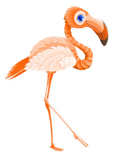 Flamingos Free Picture Png Png Play