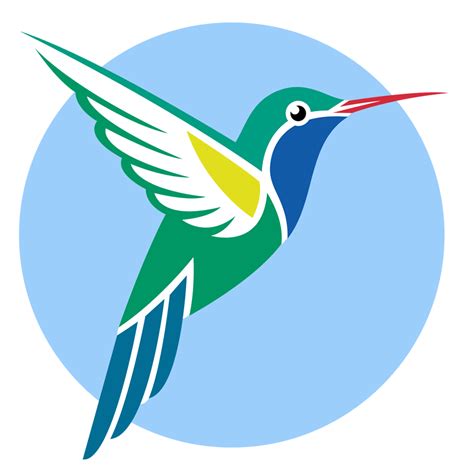 Broad Billed Hummingbird Vector Graphics Ruby Throated Hummingbird