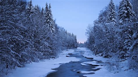 Our finland in winter 2020/2021 tour packages and trips have 161 customer reviews. Fotos von Finnland Natur Winter Schnee Wälder Flusse Bäume