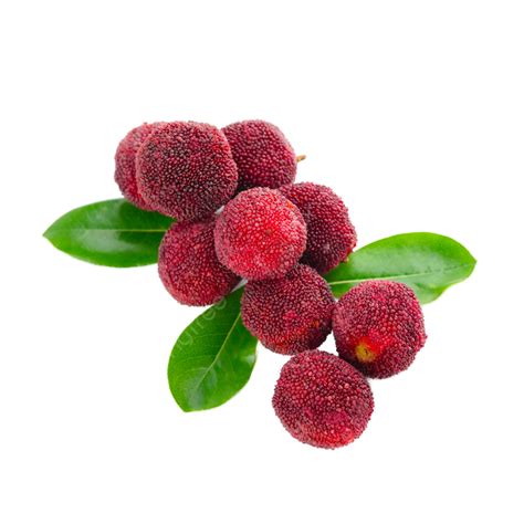 Yangmei Mature Delicious Healthy Berries Waxberry Mature Delicious