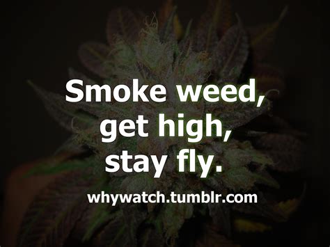 In the land of the rejected, the field is flattened, open to much oppurtunity. Weed Quotes And Sayings. QuotesGram