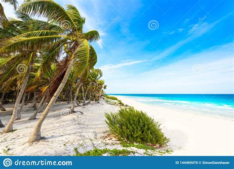 Paradise Beach At Caribbean Coast Of Mexico Tropical Destination For