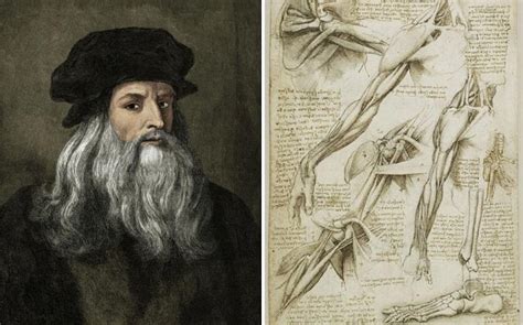 Leonardo Da Vinci Anatomy Of An Artist Telegraph