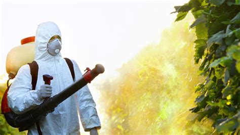 Un 200000 Die Each Year From Pesticide Poisoning News Al Jazeera