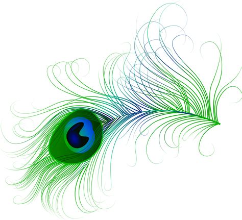 Peacock Feather Clipart Free Download 10 Free Cliparts Download