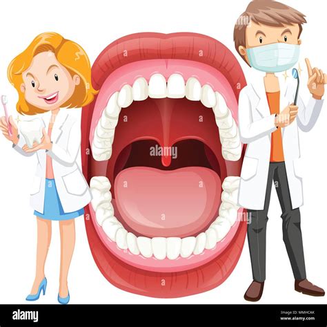Human Mouth Anatomy With Dentist Illustration Stock Vector Image And Art