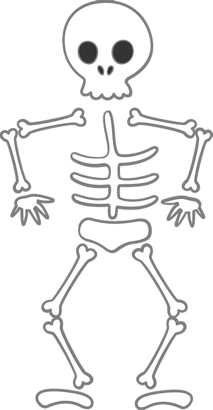 Skeleton Clipart Free Download Transparent Png Creazilla