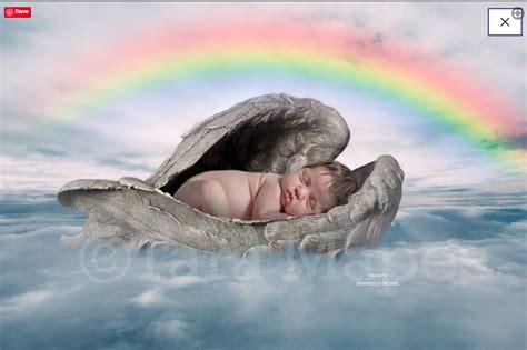 Rainbow Baby Digital Background Newborn Or Animal Psd Layered Digital