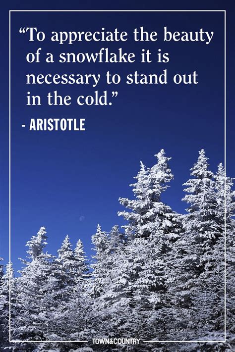 40 536 просмотров 40 тыс. 22 Best Winter Quotes - Cute Sayings About Snow & The ...