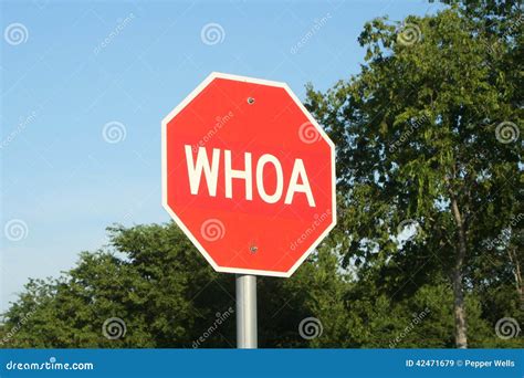 Whoa Stop Sign Photos Free And Royalty Free Stock Photos From Dreamstime