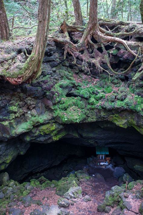 The Caves Of Aokigahara In 2019 Mysterious Places Nature Scenes