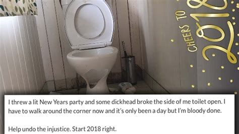Brisbane Bloke Launches Fundraiser After His Toilet Got Smashed On New