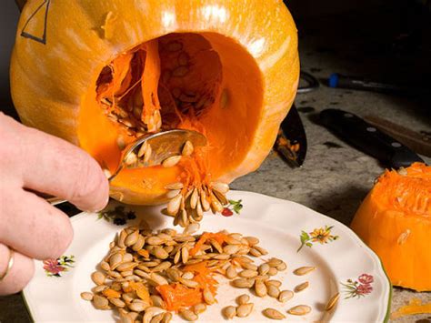 Pero si al introducir un cubierto aún se las calabazas al vapor son tan deliciosas como fáciles de preparar. Cultivo de calabazas en macetas Macetas, Siembra - Flor de ...