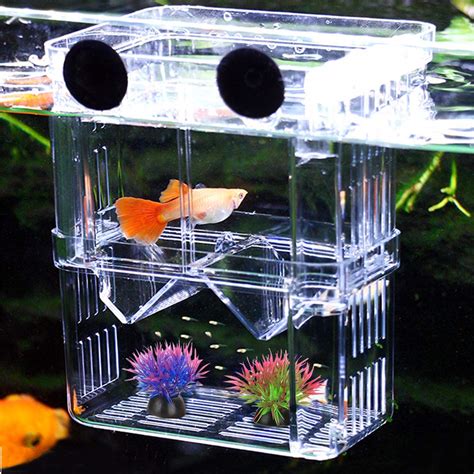 Buy Aquarium Fish Breeding Box Netuem Acrylic Double Layer Fish