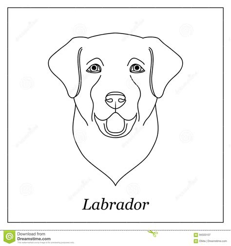 Isolated Black Outline Head Of Happy Labrador Retriever On White